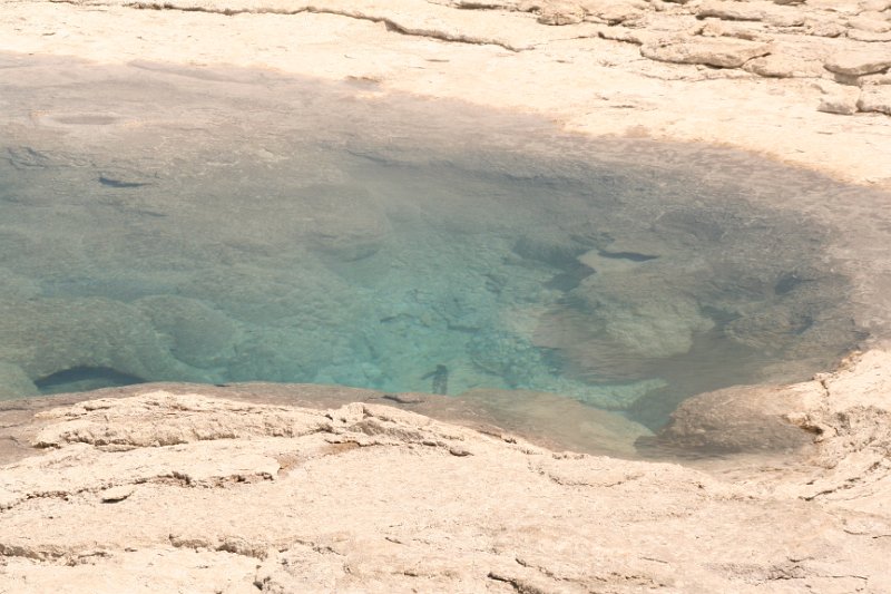 Trip (89).JPG - Spa Geyser at Yellowstone National Park geyser basin